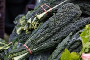 Bundled bunches of dark, crinkly lacinato kale.